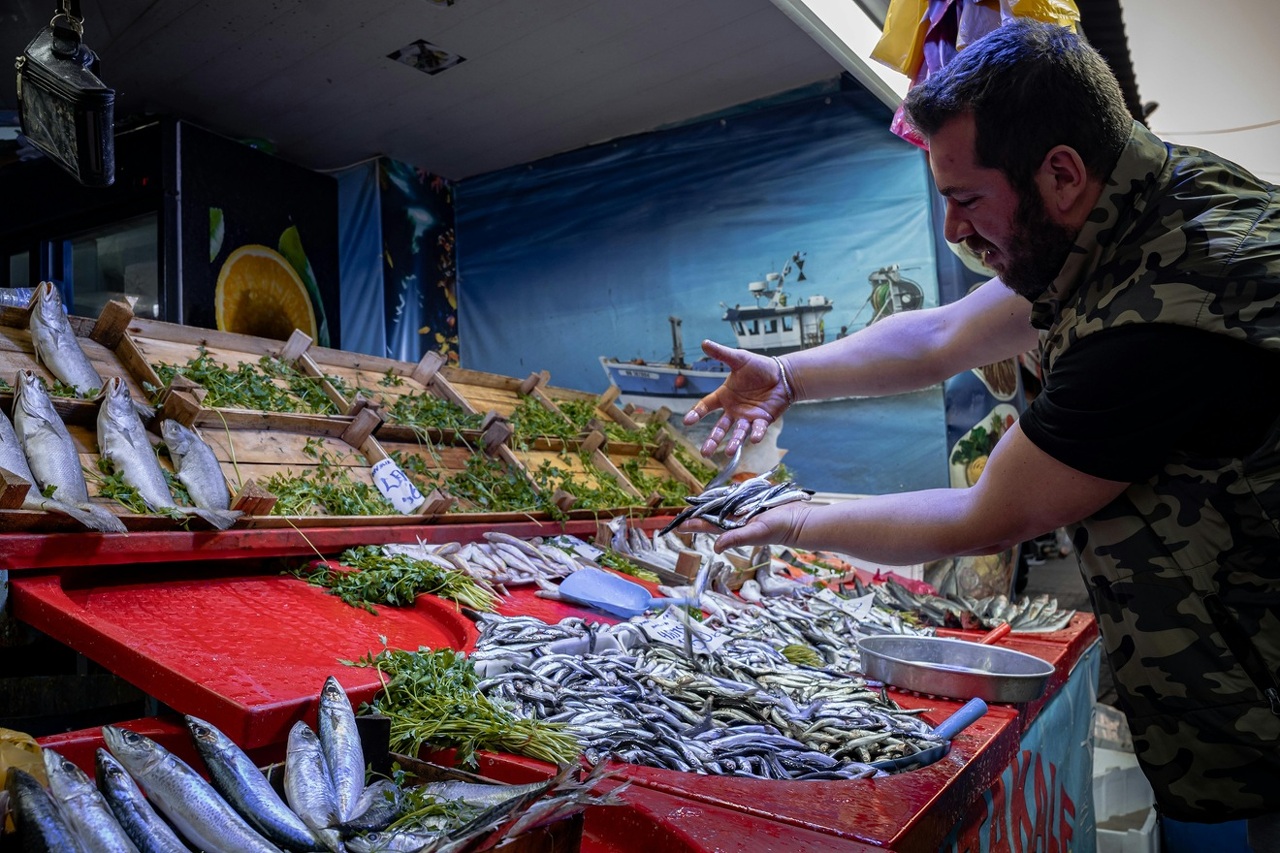 pexels-yasin-onus-520099596-36638296 (1)