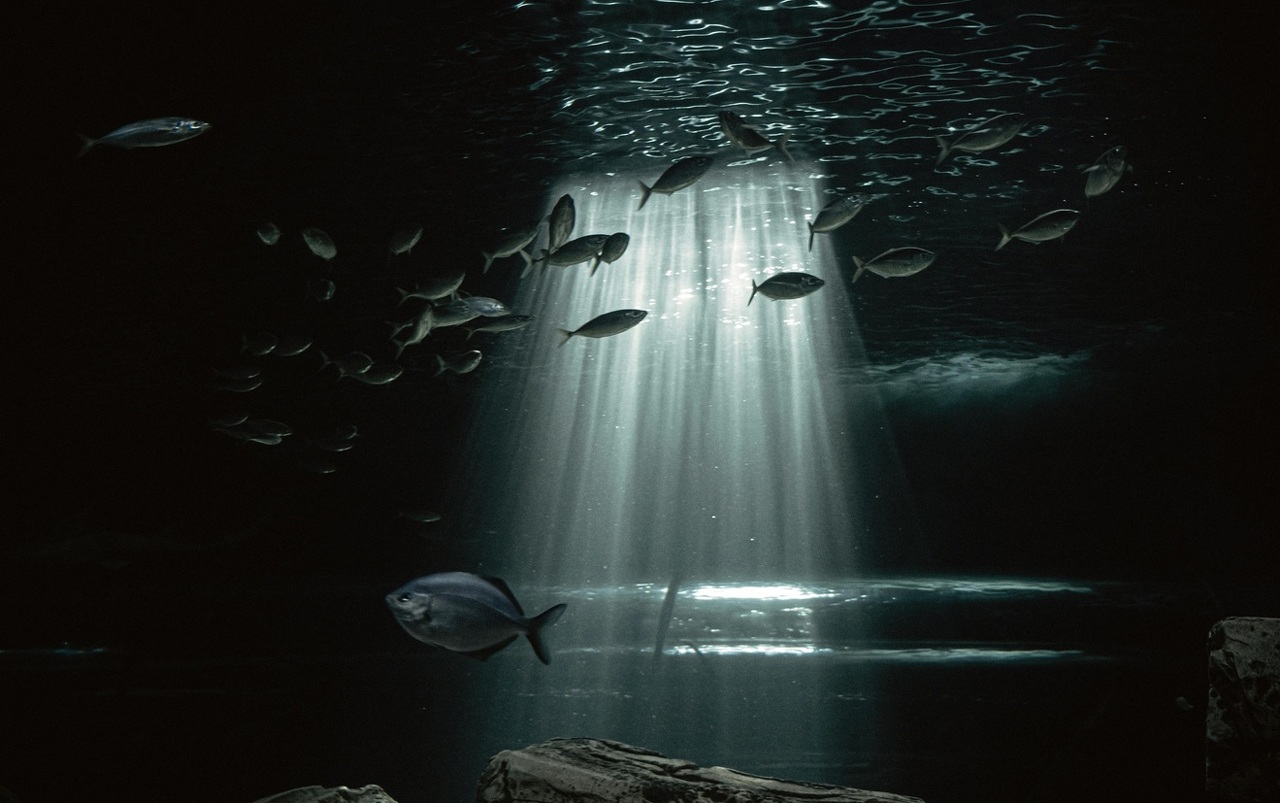 pexels-golimpio-7826039