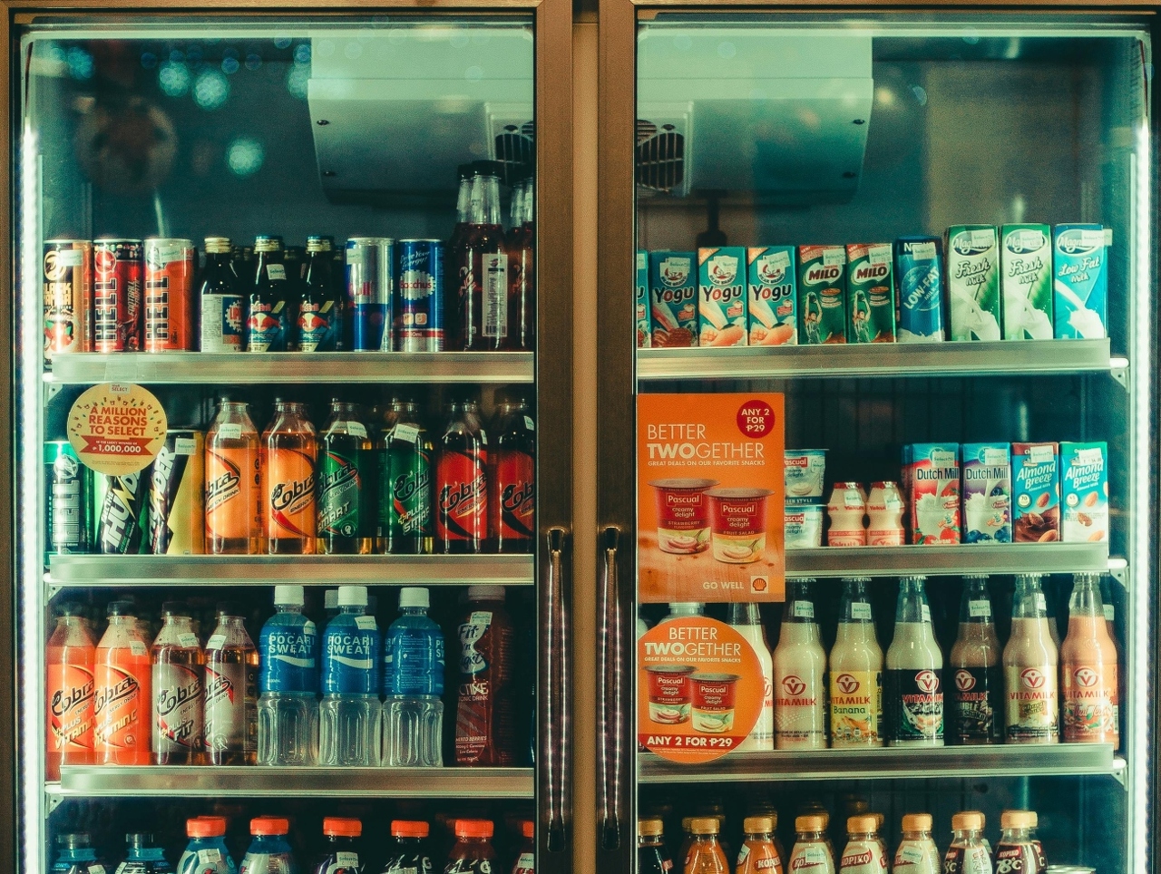 pexels-ian-panelo-3230214 (1)