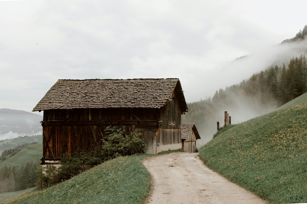 pexels-eberhardgross-4406222