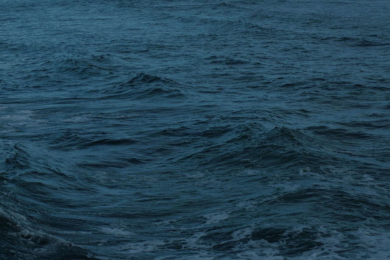 pexels-otat-32635228