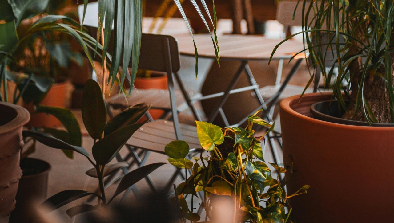 pexels-sefa-164969501-18267461