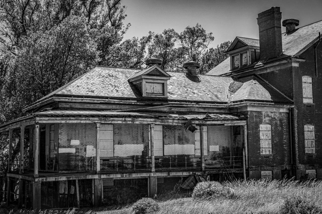 pexels-davidmcelwee-13122597 (1)