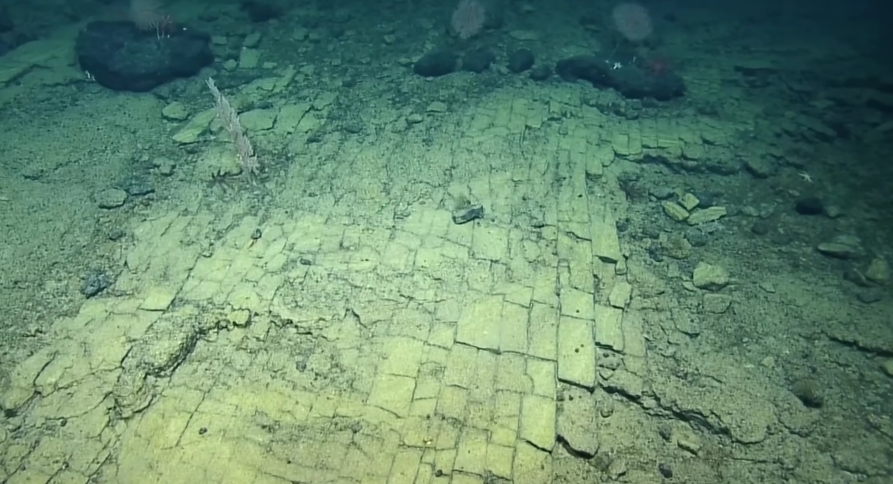 image - 2026-04-10T205805