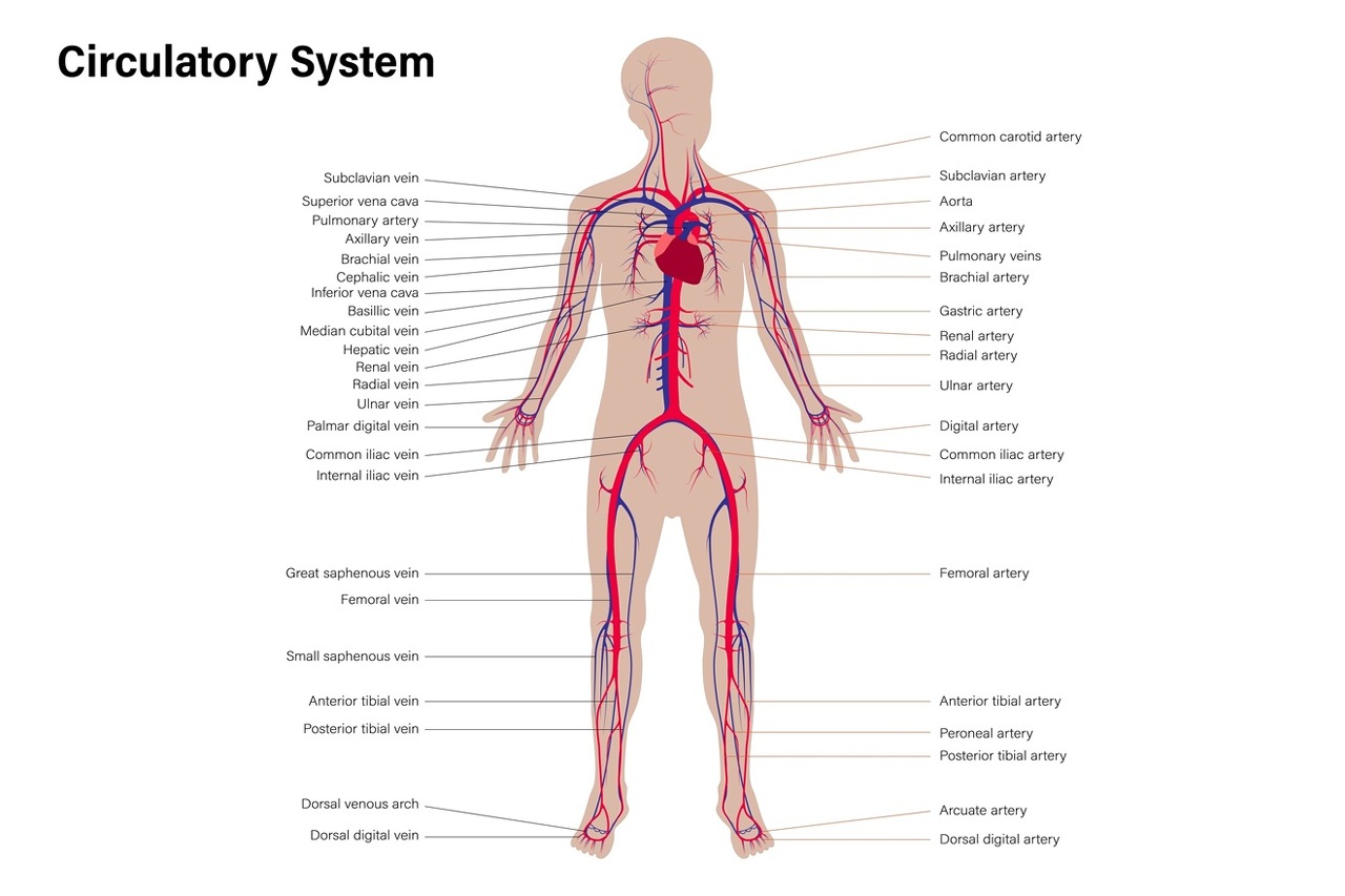 Google image