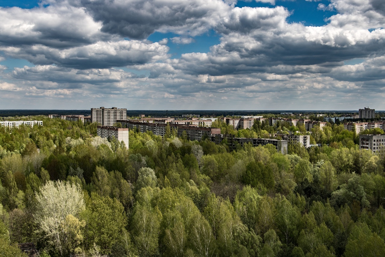 pexels-gaspar-ferenc-322731648-13726035