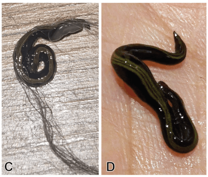 Snimka zaslona 2026-02-11 122433