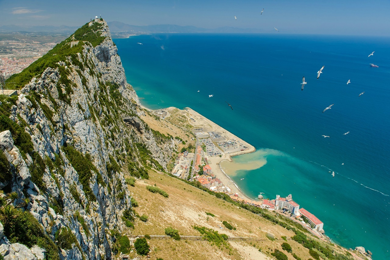 michal-mrozek-RjJiCLfMzLU-unsplash