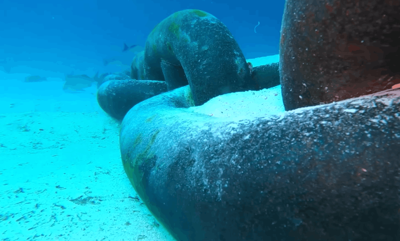 Snimka zaslona 2026-01-26 144454