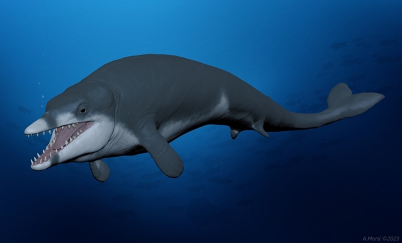AncientWhaleIllustration