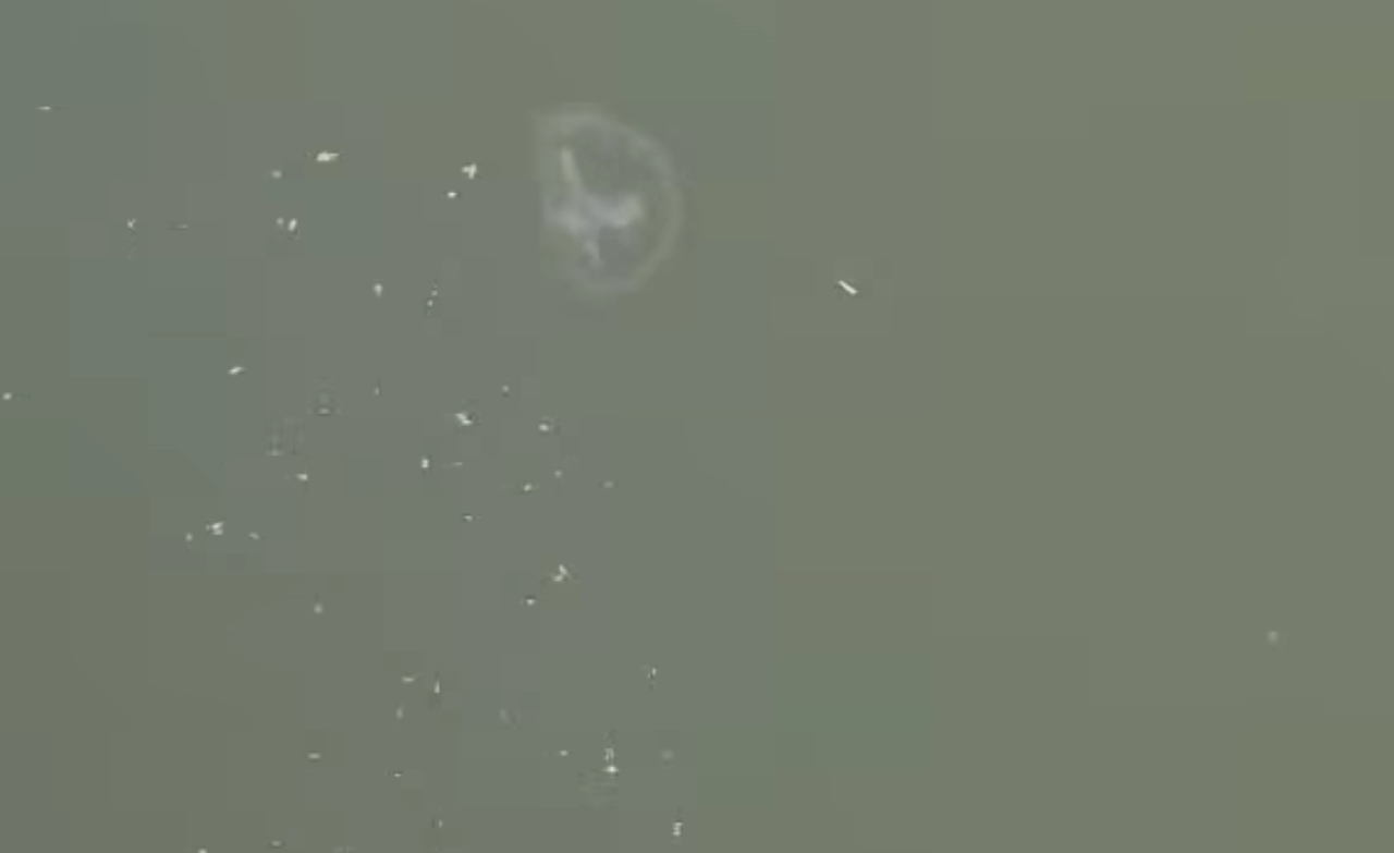 image - 2026-06-24T185859