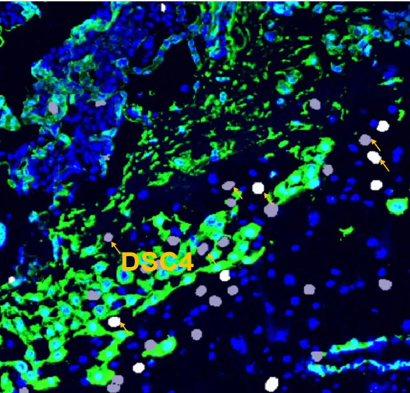 Snimka zaslona 2026-04-10 105835