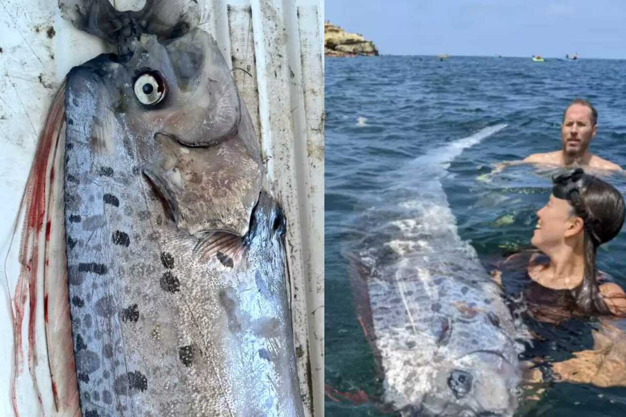 Screenshot_YouTube - 2024-08-16T145149