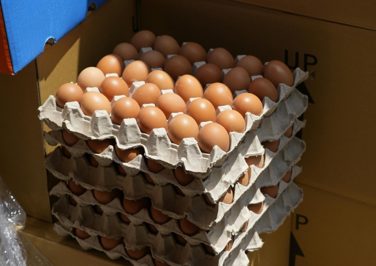 pexels-tochtliyeung1996-11750605 (1)