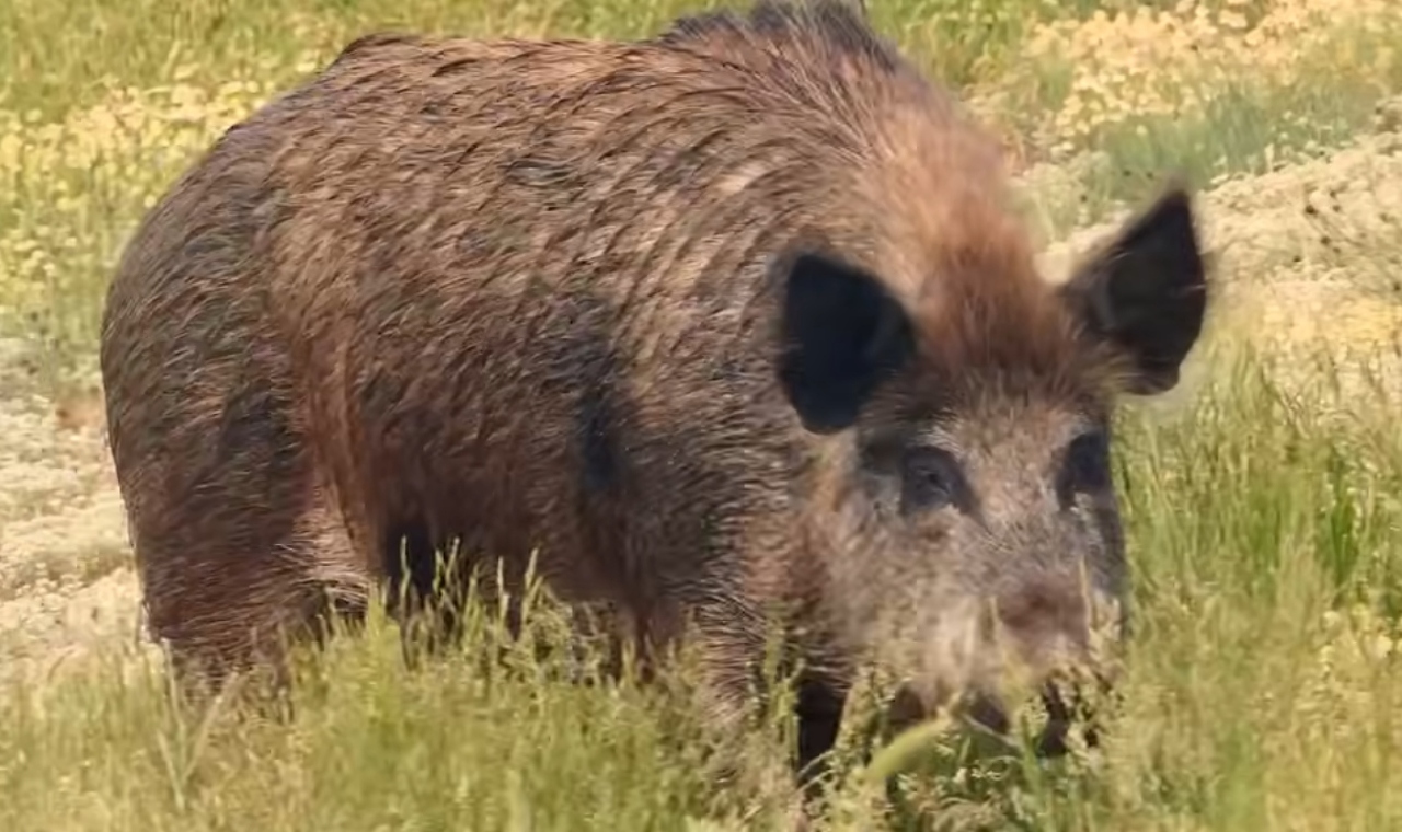 image - 2026-03-13T155010