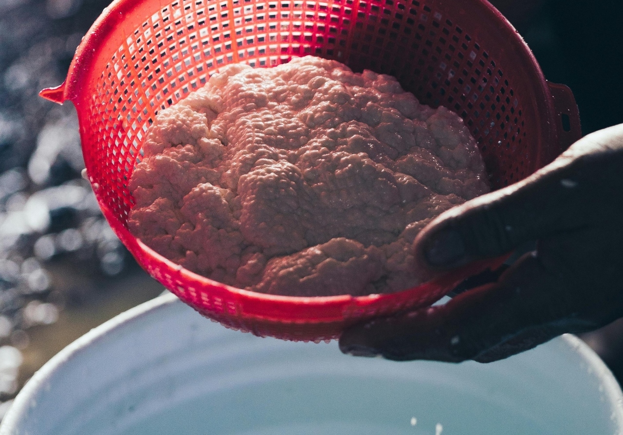 pexels-cristian-rojas-8064382 (1)