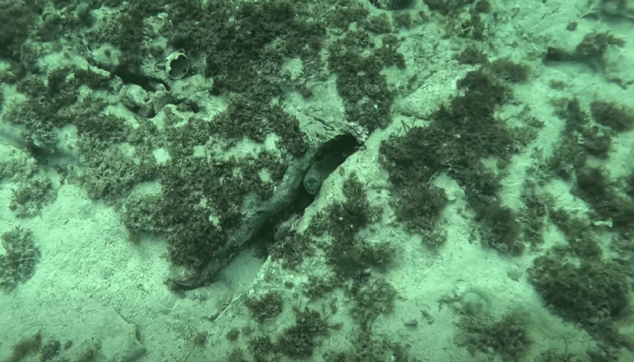 Snimka zaslona 2026-02-05 205528