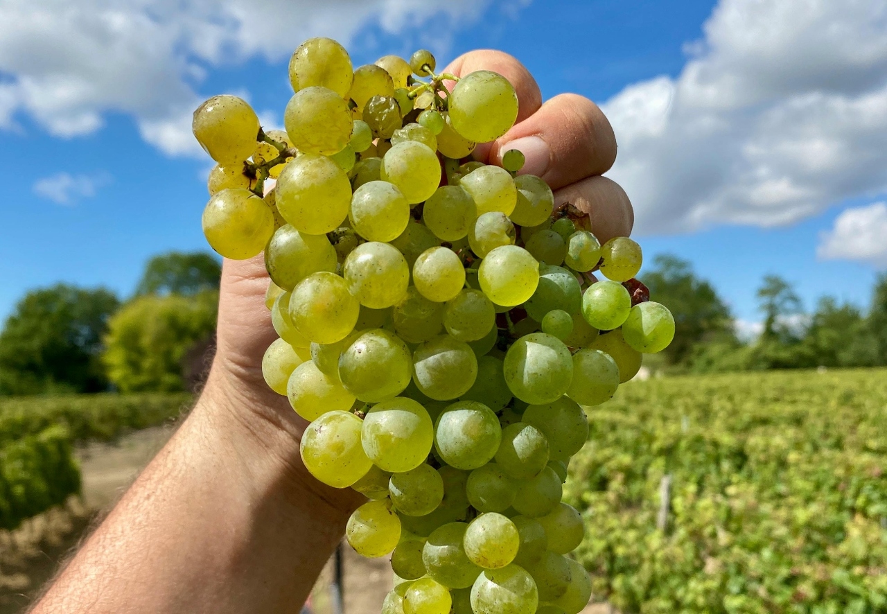 pexels-edouardc-9595817 (1)