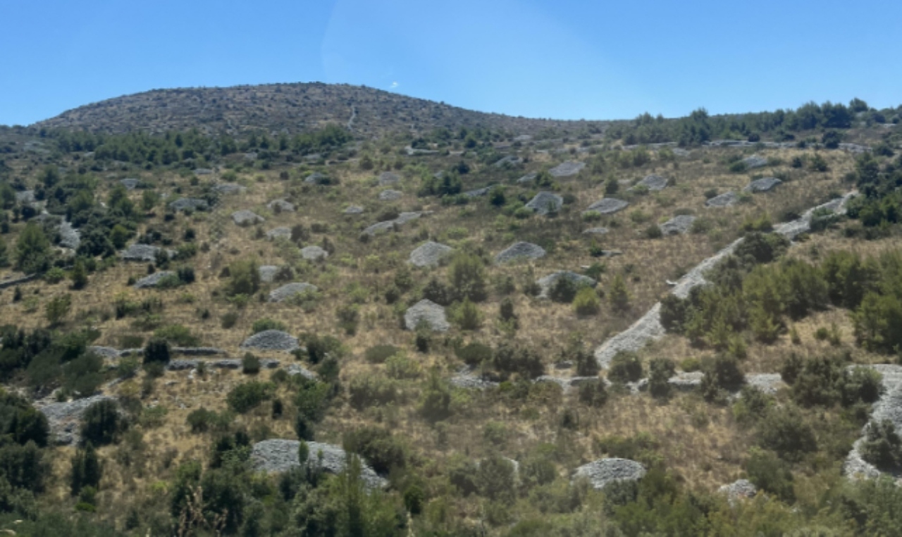 image - 2025-07-19T145036
