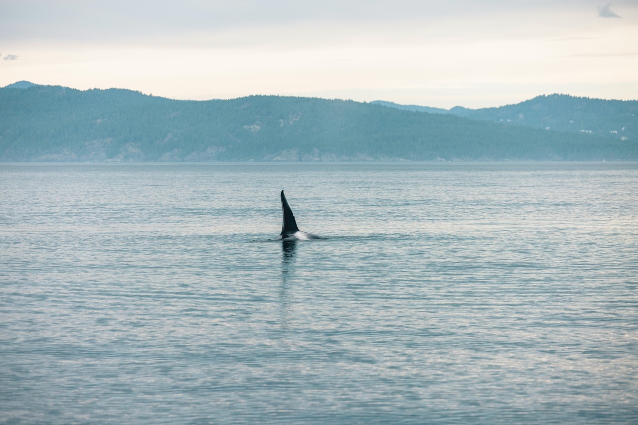 pexels-lureofadventure-35659865