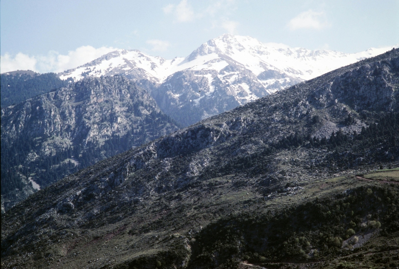 pexels-open-borders-37187284 (1)