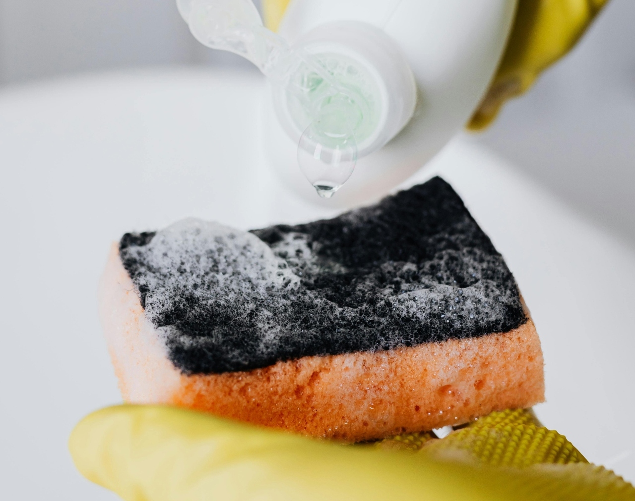 pexels-karola-g-4239117 (3) (1)