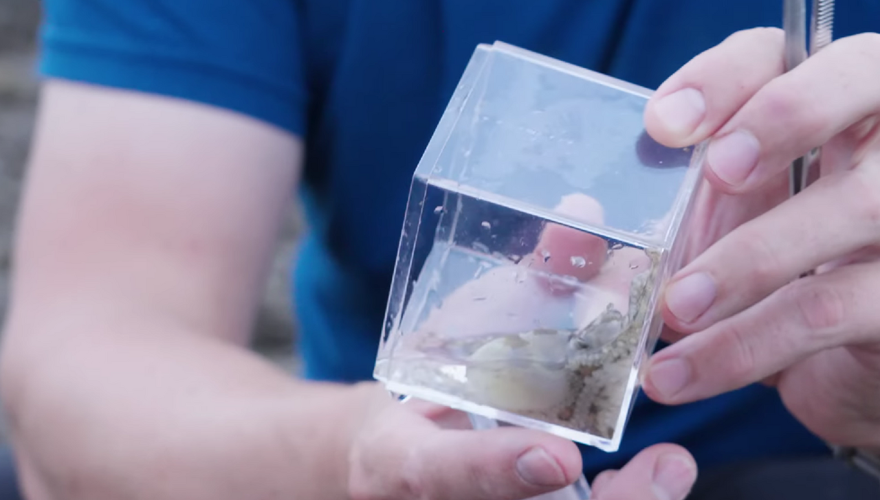 Snimka zaslona 2026-01-20 200424