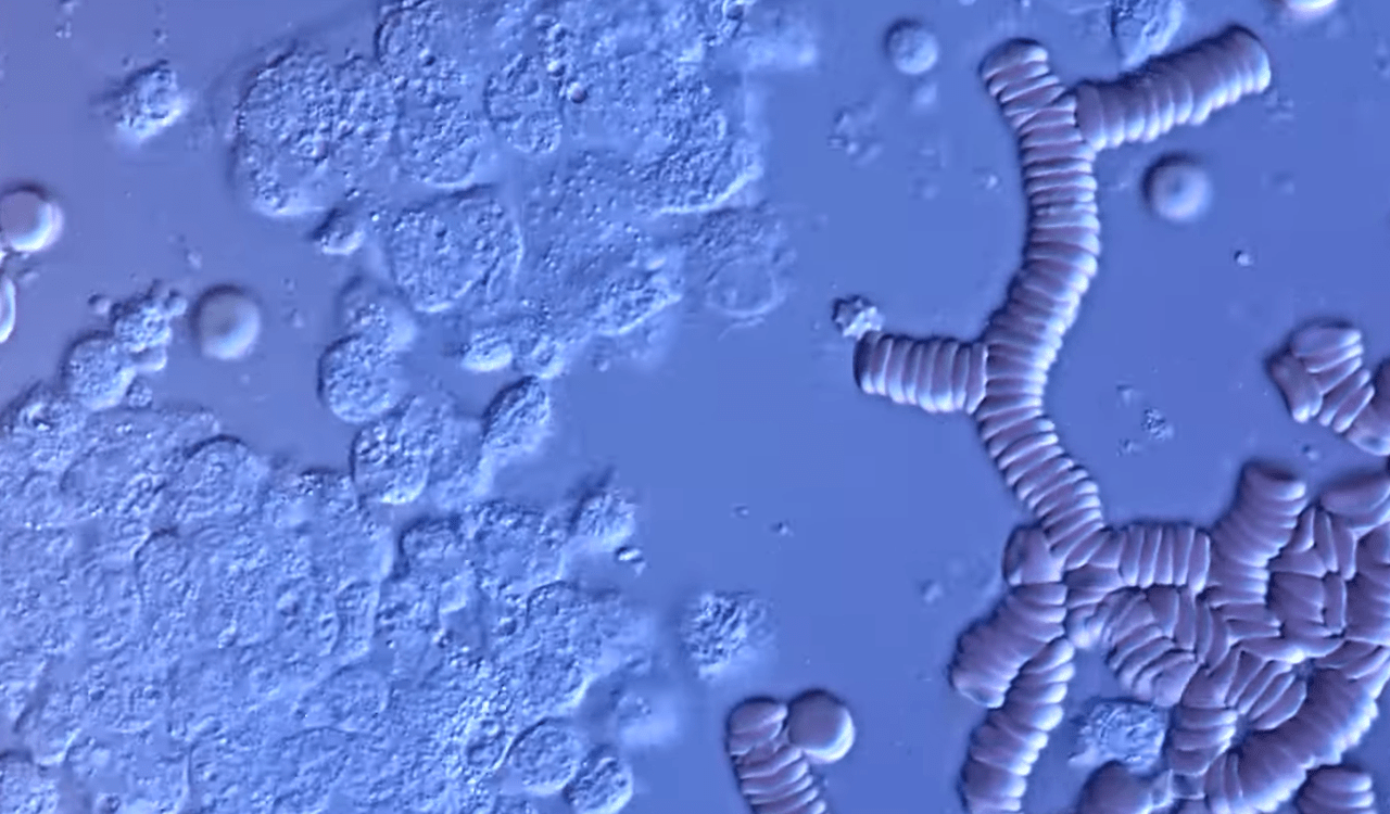 Snimka zaslona 2025-11-23 185127-min