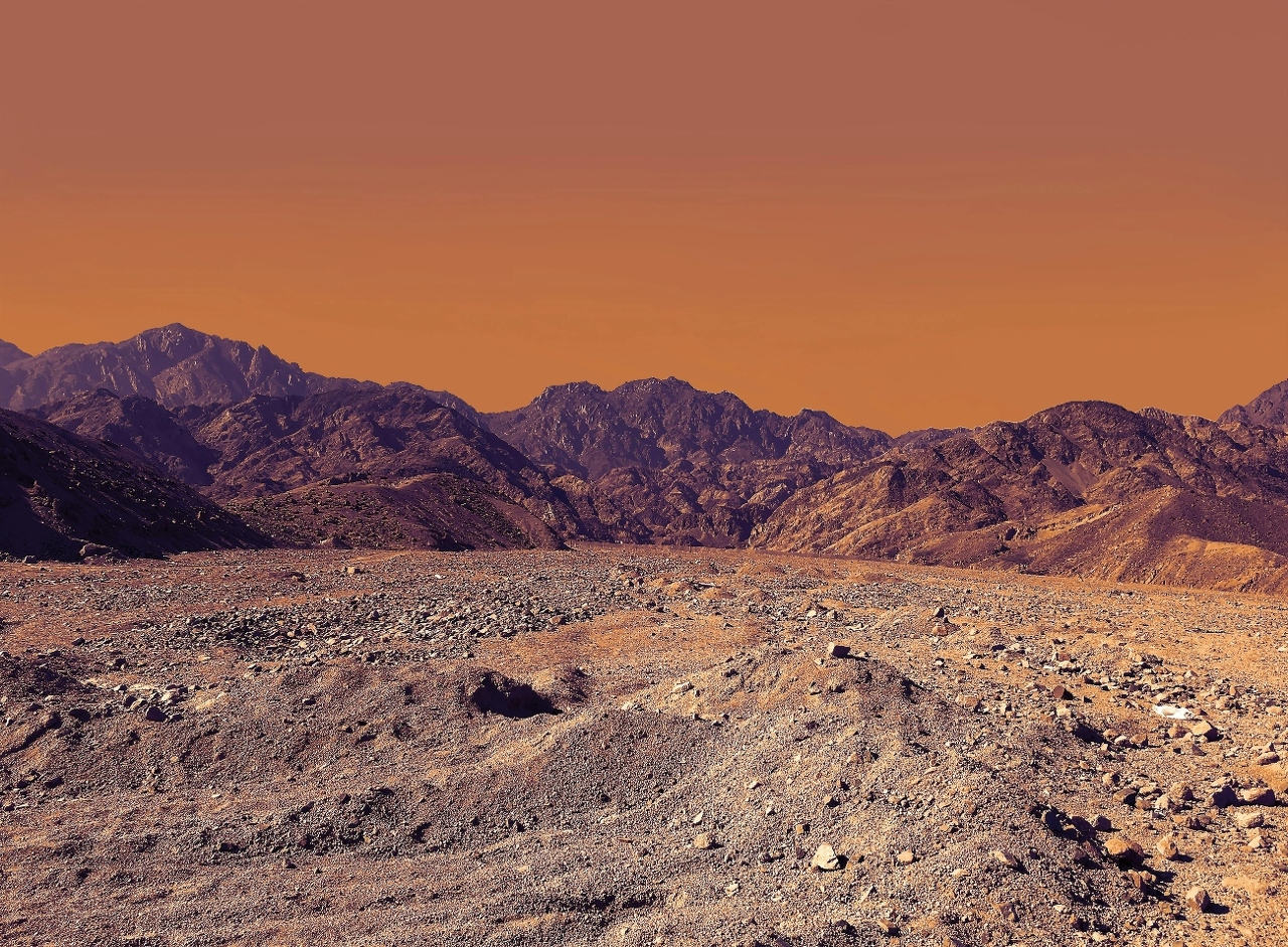 pexels-rana-841343 (1)