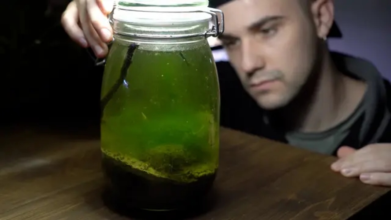 puddle-jar-youtube-2