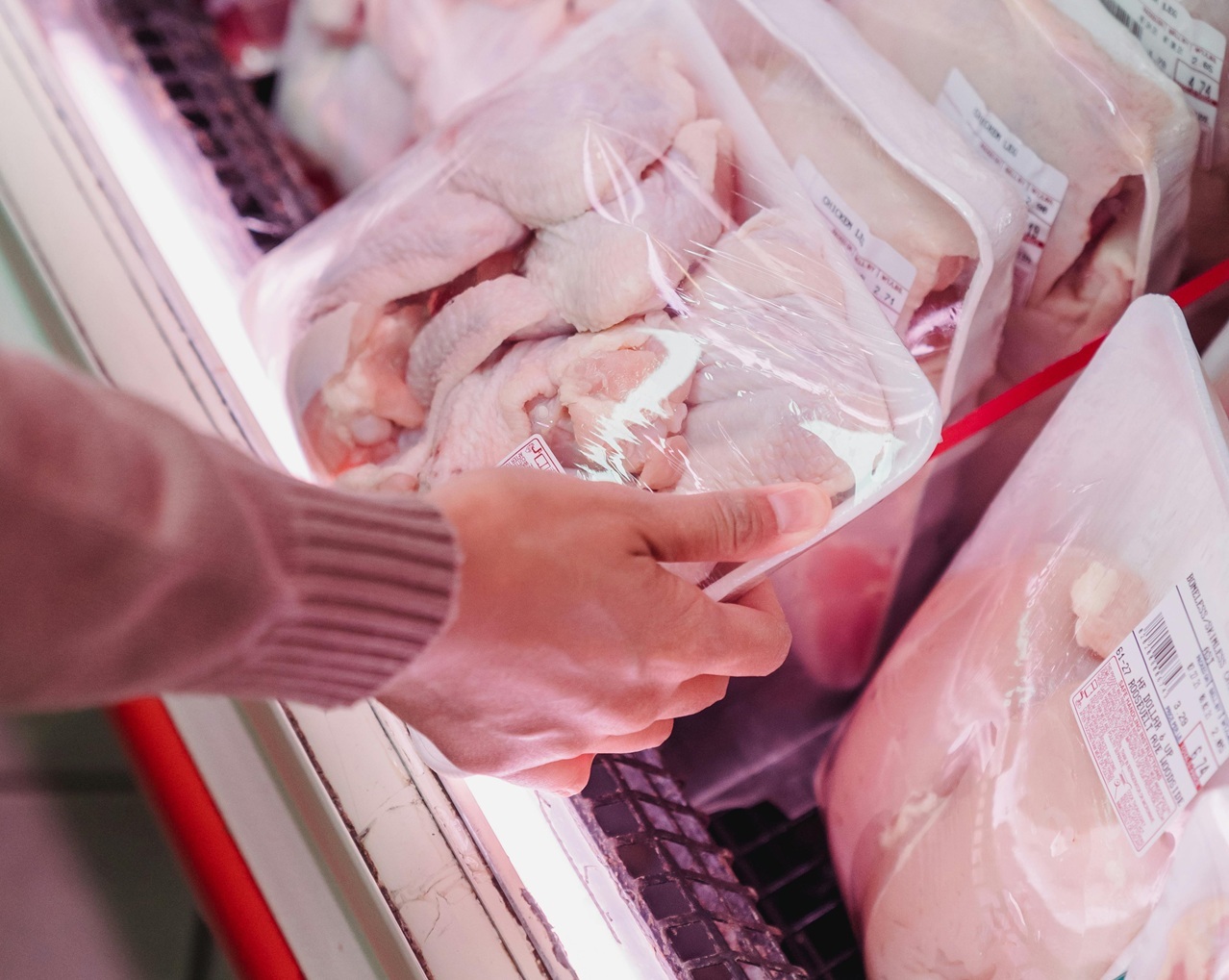 pexels-kevin-malik-9016811