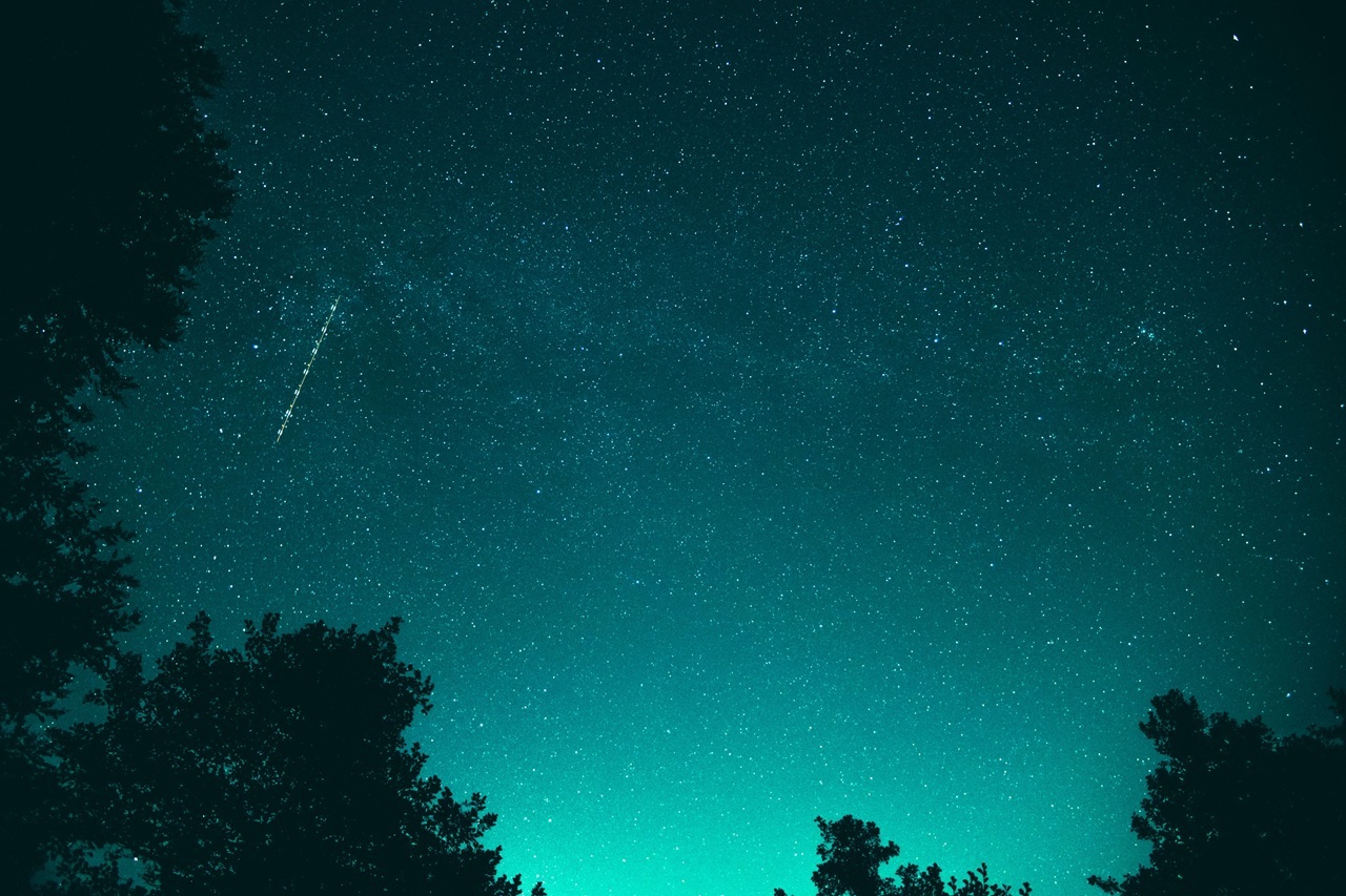 pexels-mbanov-4753693