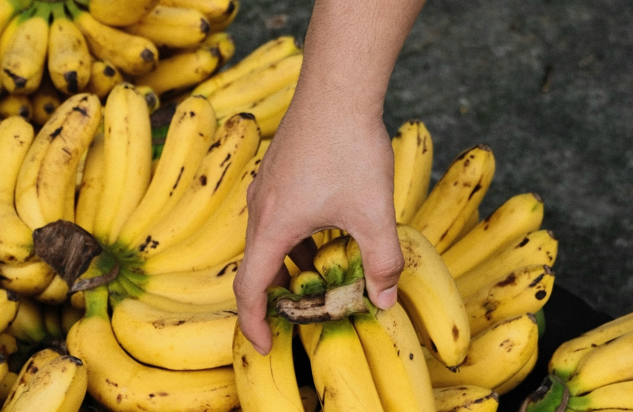 pexels-topi-satin-2151855868-33045683 (1)