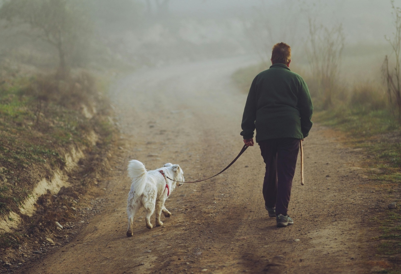 pexels-ramon-linares-37077963-10701026 (1)