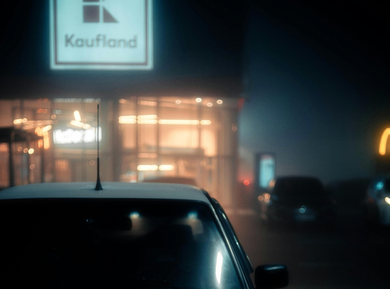 pexels-borta-2790256-30271165 (2) (1)