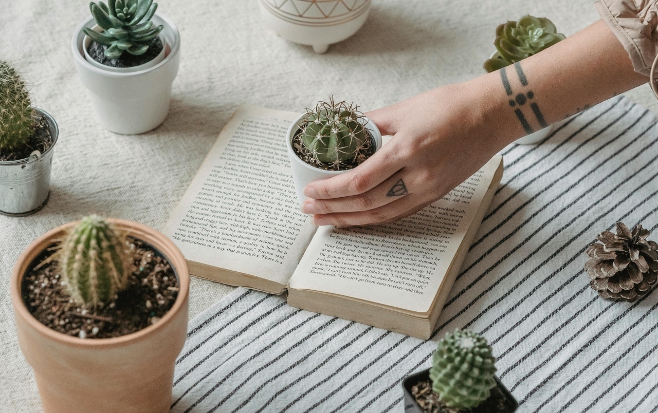 pexels-george-milton-7015024 (1)