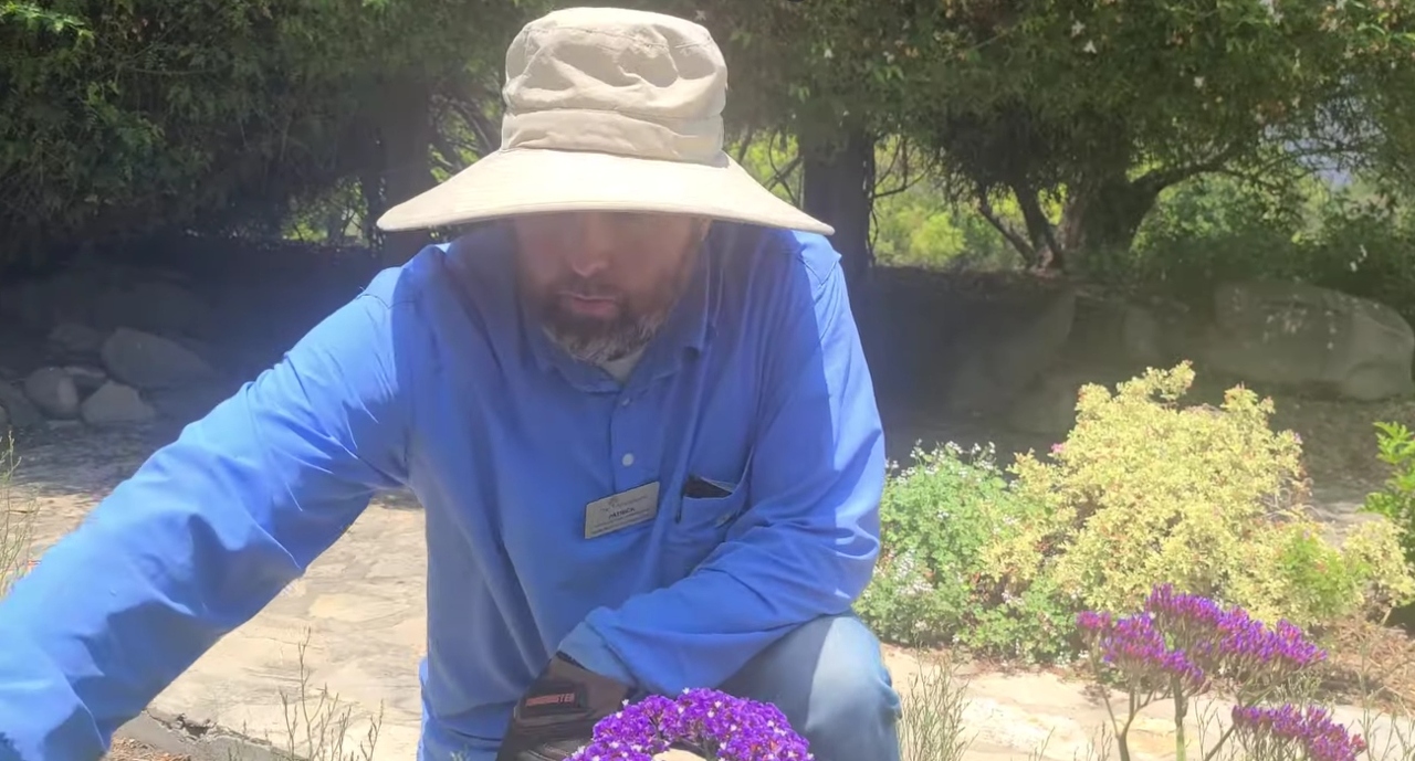 image - 2025-12-11T182121