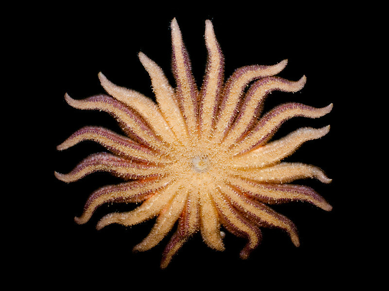 5624403953_66d6641f2d_c