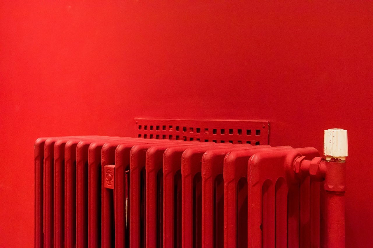 pexels-jan-van-der-wolf-11680885-11056184