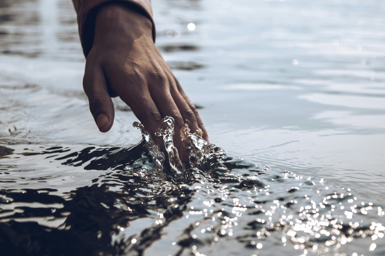 pexels-ashutoshsonwani-1669605