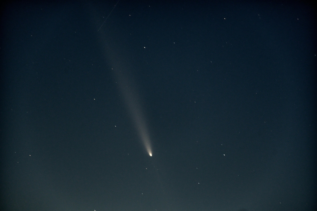 pexels-ivan-palii-76904596-29017945 (1)