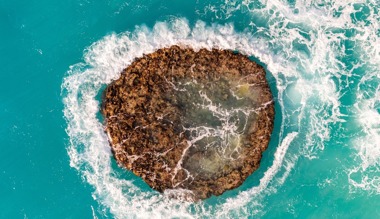 pexels-brandon-morrison-119560-34406312