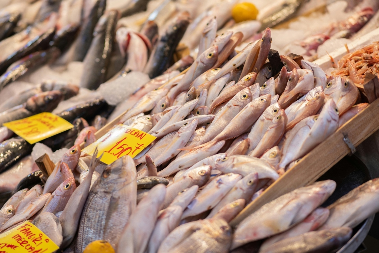 pexels-izafi-27553360 (1)