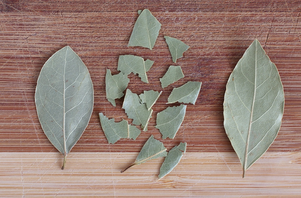 pexels-marek-ruczaj-1534625-35150748