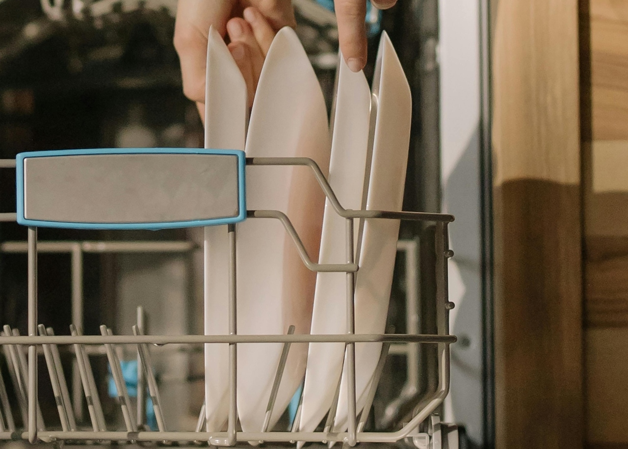 pexels-cottonbro-4112728 (2) (1)