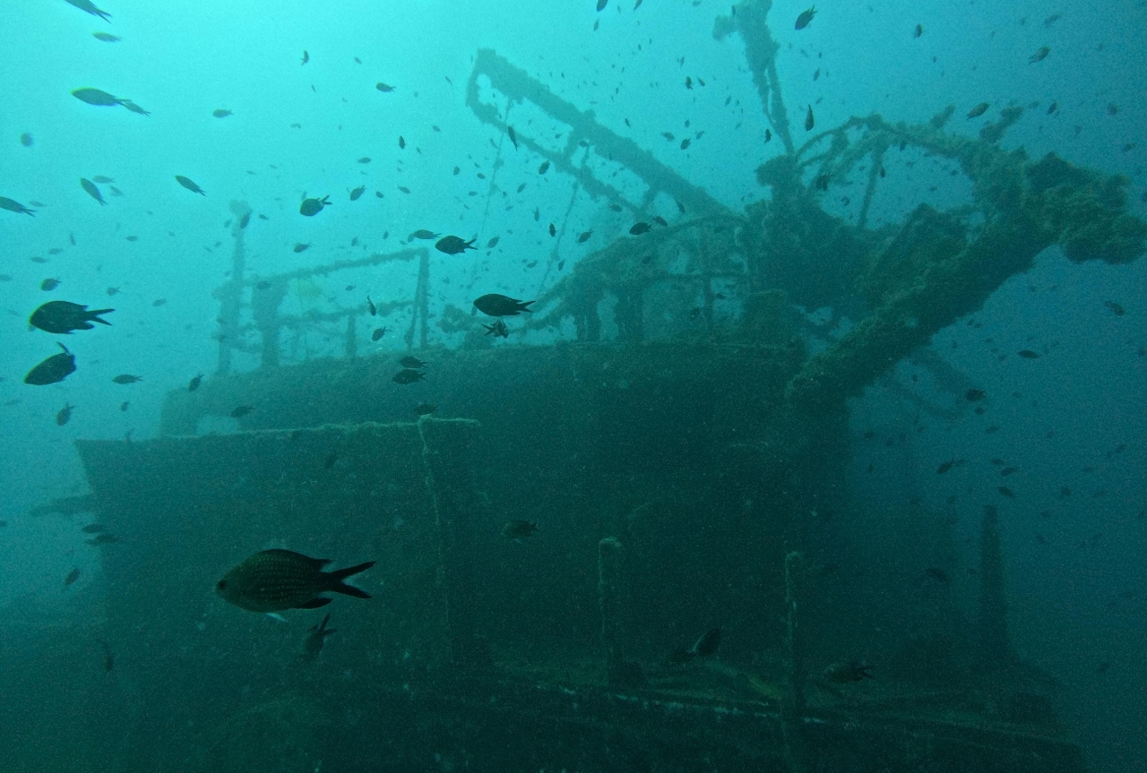 pexels-julien-de-meyer-2154302712-35476591 (1)