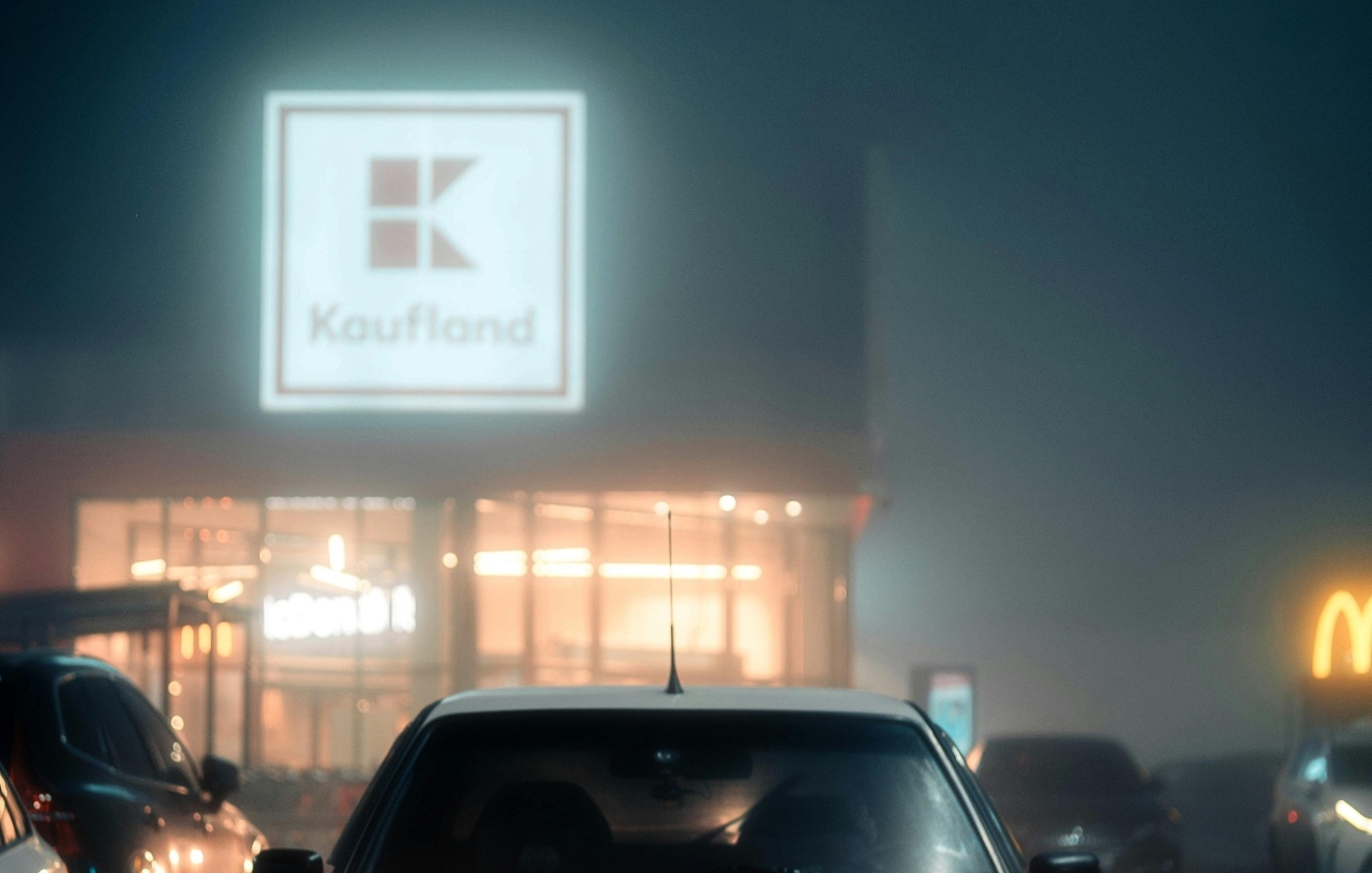 pexels-borta-2790256-30271170 (3) (1)