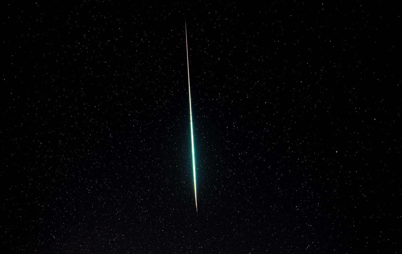 pexels-simphotography-10572153 (1)