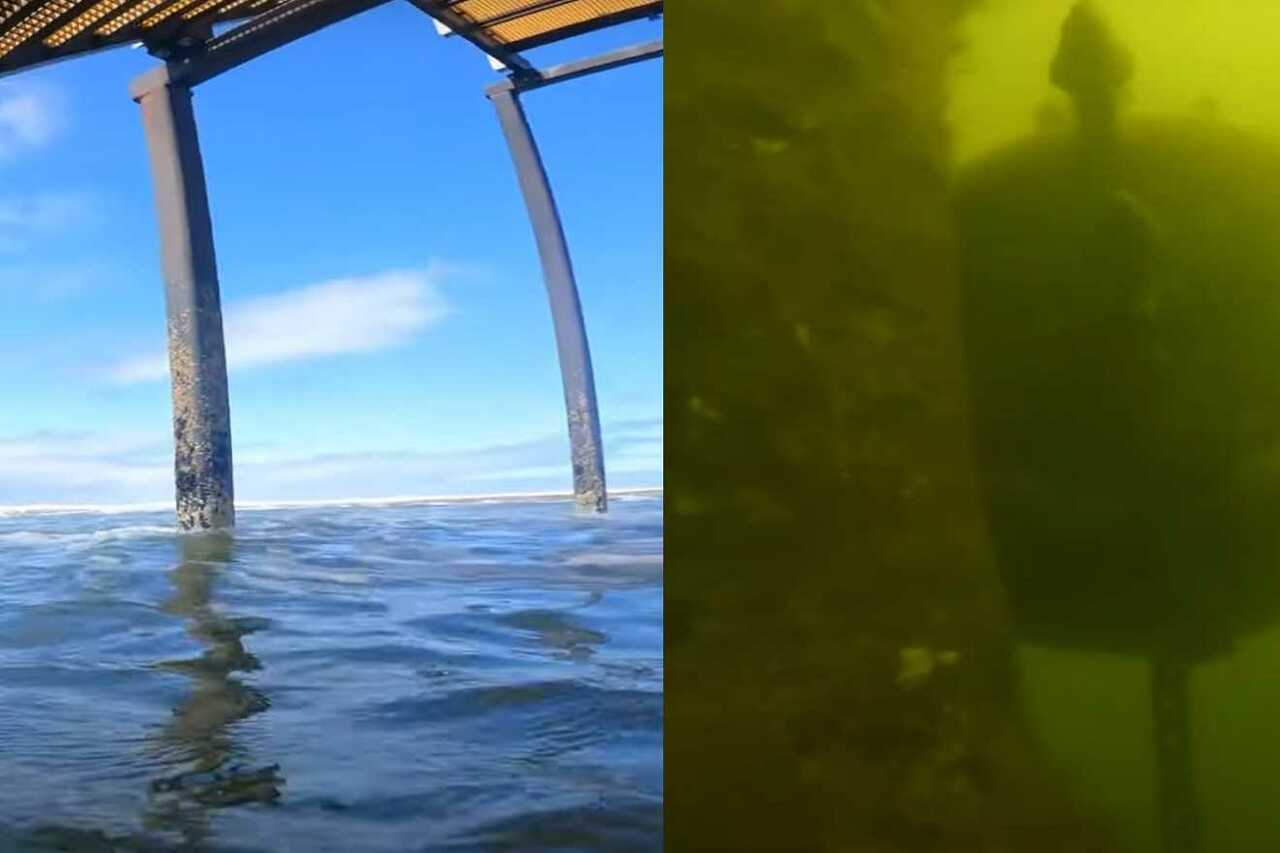 Screenshot_YouTube - 2024-08-17T174626