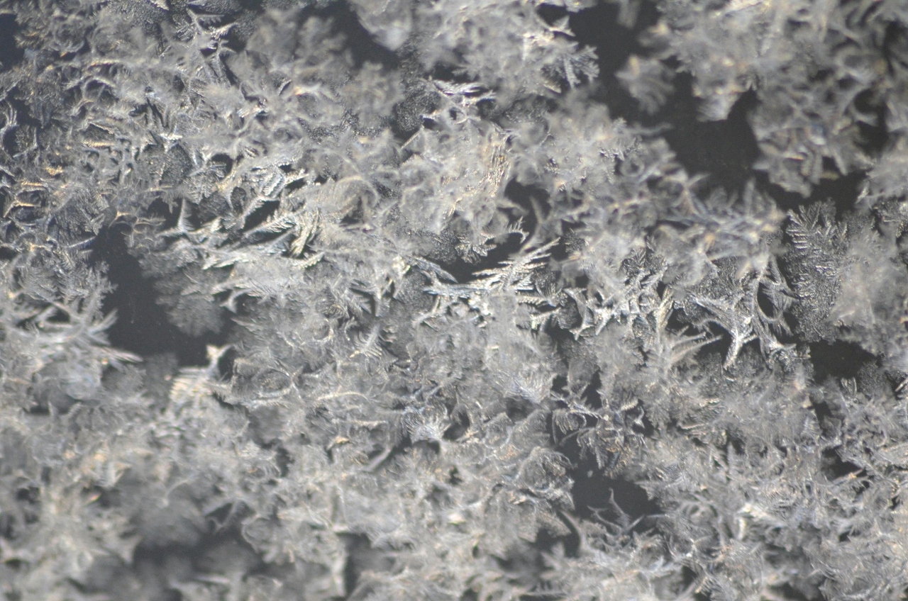 pexels-kati-tuomaala-322310274-13713367 (1)